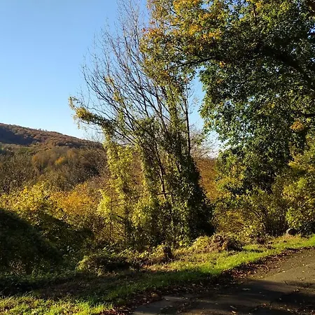 Panoramahaus Sauerland * ארנסברג