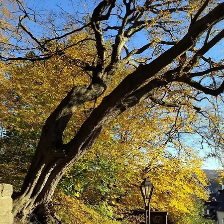 Panoramahaus Sauerland *
