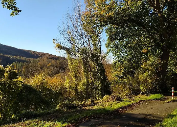 Panoramahaus Sauerland * Arnsberg
