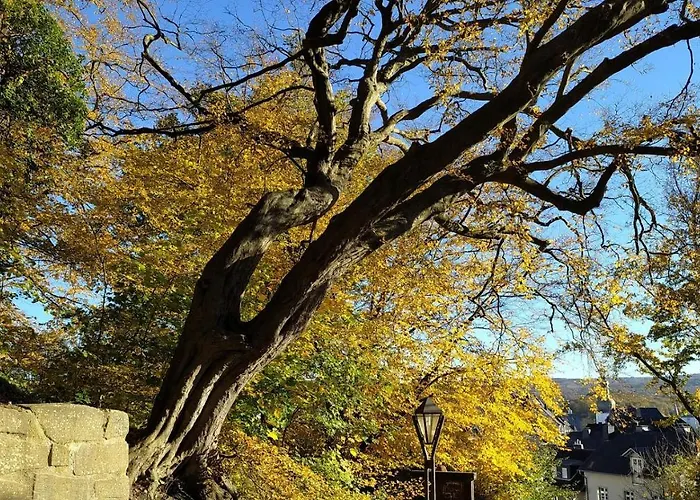Panoramahaus Sauerland *